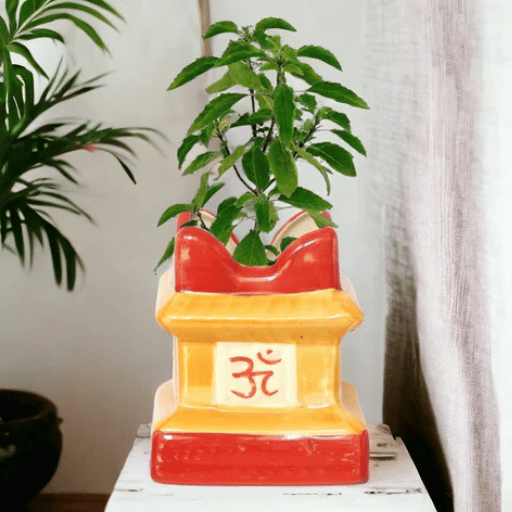 Tulsi